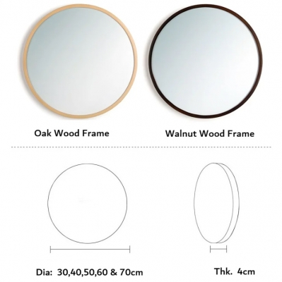 Wall Mounted mirror / WMM201R